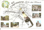 EN CHAMPAGNE   COTE DES BLANCS   Multivues ,plan      Ref Perso: ANN - Champagne-Ardenne