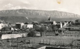 ( CP SM PF 83 )  NANS LES PINS  / Vue Générale Et Chaîne De La Sainte-Baume  - - Nans-les-Pins