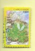 TIMBRES - STAMPS - CAPE VERDE / CAP VERT - 2002- PLANTES ENDÉMIQUES - Limonium Sunding - TIMBRE OBLITÉRÉ - Cap Vert