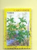 TIMBRES - STAMPS - CAPE VERDE / CAP VERT - 2002- PLANTES ENDÉMIQUES - Polycarpaea Gaye -TIMBRE OBLITÉRÉ CLÔTURE DE SERIE - Kap Verde