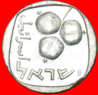 * FRUIT OF VENUS (1976-1979): PALESTINE (israel)  5 AGOROTS 5738 (1978)! LOW START NO RESERVE! - Israel