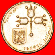 * FRUITS OF VENUS (1980-1985): PALESTINE (israel)  10 NEW AGOROTS 5740 (1980)! LOW START NO RESERVE! - Israel