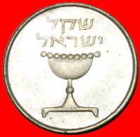 * 10 BEADS (1981-1985): PALESTINE (israel)  1 SHEKEL 5741 (1981)! LOW START NO RESERVE! - Israel