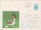 28533- BIRDS, GREAT CRESTED GREBE, COVER STATIONERY, 1977, ROMANIA - Albatros