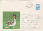 28533- BIRDS, GREAT CRESTED GREBE, COVER STATIONERY, 1977, ROMANIA - Palmípedos Marinos