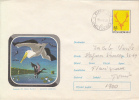 28535- BIRDS, PELICANS, DANUBE DELTA BIRDS, COVER STATIONERY, 1977, ROMANIA - Pelícanos