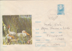 28536- BIRDS, PELICANS, COVER STATIONERY, 1977, ROMANIA - Pélicans