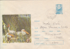 28536- BIRDS, PELICANS, COVER STATIONERY, 1977, ROMANIA - Pelícanos