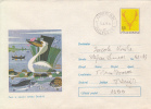 28539- BIRDS, PELICANS, FISHES, COVER STATIONERY, 1977, ROMANIA - Pélicans