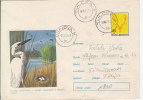 28542- BIRDS, GREAT EGRET, COVER STATIONERY, 1972, ROMANIA - Pelícanos