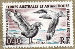 T.A.A.F. - Faune - Oiseau : Skuas (Stercorarius Skua)  Ou Grand Labbe - - Usados