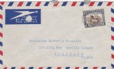 Afrique Du Sud Yvert 107 Animal Gnou Lettre Avion  25/?/1948  Pour Bordeaux France - Storia Postale