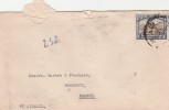 Afrique Du Sud Yvert 107 Animal Gnou Lettre Avion  1950  Pour Bordeaux France - Lettres & Documents