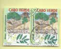 TIMBRES - STAMPS - CAPE VERDE / CAP VERT - 2004 - ARBRES INDIGÈNES - Khaya Senegalensis - TIMBRES OBLITÉRÉE - Cape Verde