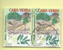 TIMBRES - STAMPS - CAPE VERDE / CAP VERT - 2004 - ARBRES INDIGÈNES - Khaya Senegalensis - TIMBRES OBLITÉRÉE - Cap Vert
