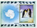 UMM AL QIWAIN BLOC OBLITERE  FAUNE EN ANTARCTIQUE - Antarktischen Tierwelt