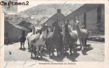 Delcampe - COMPANIA HUANCHACA DE BOLIVIA BOLIVIE LAMA 1900 - Bolivien