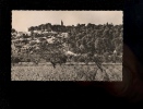 NOTRE DAME ROCHEFORT DU GARD Gard 30 : Vue Panoramique 1955 - Rochefort-du-Gard