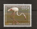 MONTENEGRO  2015,FAUNA,FLAMINGOS ,PHOENICOPTERUS ROSEUS,MNH - Fenicotteri