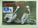 CARTE MAXIMUM CARD PELICANS DE LOUISIANE USA - Pélicans