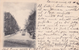 LAUSANNE : Boulevard De Grancy.  Oblitération Lame De Rasoir Du 19.VII.1900 - Grancy
