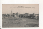 Boran Train Des Equipages De Campagne Chevaux Au Bivouac - Boran-sur-Oise