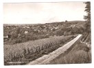 HÜGELHEIM , Bezirk Müllheim, Baden : Markgräfler Land;Gasthaus Zur Blume ; 1967, TTB - Muellheim