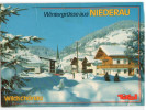 Wintergrüße Aus Niederau - Wildschönau - Wildschönau