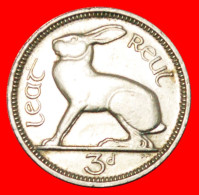 * GREAT BRITAIN (1942-1968): IRELAND  3 PENCE 1968 HARE! LOW START  NO RESERVE! - Irlanda