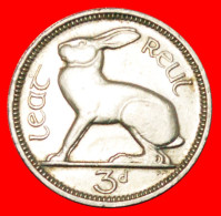 * GREAT BRITAIN (1942-1968): IRELAND  3 PENCE 1968 HARE! LOW START  NO RESERVE! - Irland