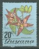 GUYANA 1971-72: YT 383 / Sc 140, O - FREE SHIPPING ABOVE 10 EURO - Guyana (1966-...)