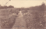 Villa Scolaire - Potager (animée) - La Hulpe