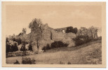 " Environs De Labéssonnié - Ruines Du Chateau Féodal De Montredon " Ed. Sabarthez - Alibert - Montredon Labessonie