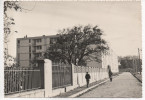 13.452/MARIGNANE - Les Camions  (cpsm) - Marignane