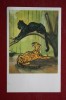 Old USSR Postcard. STROGANOVA. Jaguar . 1969 - Tigres