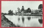 Ourthe - L´Etang ( Voir Verso ) - Gouvy