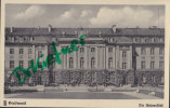 Greifswald, Universität, Um 1940 - Greifswald