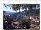 OLLIERGUES   -   Vue  Panoramique  -  Prise  De  La  Terrasse  Ouest   De  Hôtel  Restaurant   MIGEON - Olliergues