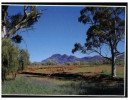 (432) Australia -SA - Flinders Ranges - Flinders Ranges