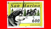 SAN MARINO - Usato - 1994 - Esposizione Cinofila Internazionale - Cani - Dog - Alaskan Malamute - 600 - Gebraucht