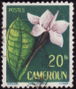 CAMEROUN   1958  -  Y&T  307  - Randia -  Oblitéré - Used Stamps