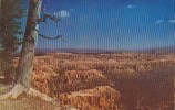 Panorama Of Bryce Canyon Nationa Park Utah - Bryce Canyon