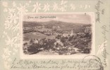 SASBACHWALDEN - 1902 - GRUSS AUS - PANORAMA - PRÄGE - RELIËF - EDELWEISS - 2 SCANS - Sasbach