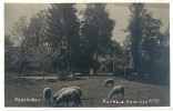 Rüschlikon - Kurhaus Niedelbad             1917 - Rüschlikon