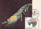 ANTARCTIC WILDLIFE, ANTARCTIC KRILL, CM, MAXICARD, CARTES MAXIMUM, 1990, ROMANIA - Fauna Antártica