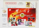 Nursing Home,Children Welfare Institute,China 2002 Hubei Computer Welfare Lottery Advert Pre-stamped Card - Informatique