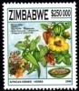 Zimbabwe - 2006 African Dishes $250000 Herbs MNH** - Zimbabwe (1980-...)