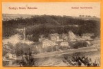 Bad Sendings Hotel Schandau 1910 Postcard - Bad Schandau
