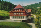 AK ´Hinterzarten' (Schwarzwald) ~ 1975 - Hinterzarten