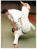 (431) Judo (from Luxembourg With 2 X Europa Stamps At Back Of Card - 2007 + 2015 ) - Martiaux